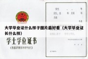 大学毕业证什么样子图片最好看（大学毕业证长什么样）