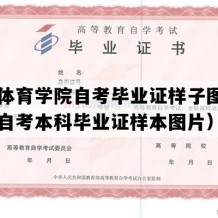 山东体育学院自考毕业证样子图片（山东自考本科毕业证样本图片）