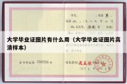 大学毕业证图片有什么用（大学毕业证图片高清样本）