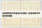 山东省的高中毕业证什么样的（山东省高中毕业证样本图）