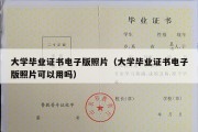 大学毕业证书电子版照片（大学毕业证书电子版照片可以用吗）