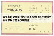 大学本科毕业证书尺寸是多少啊（大学本科毕业证书尺寸是多少啊图片）