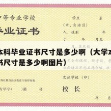 大学本科毕业证书尺寸是多少啊（大学本科毕业证书尺寸是多少啊图片）