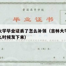 吉林大学毕业证丢了怎么补领（吉林大学毕业证什么时候发下来）