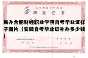 民办合肥财经职业学院自考毕业证样子图片（安徽自考毕业证补办多少钱）