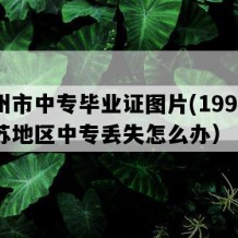 苏州市中专毕业证图片(1994年江苏地区中专丢失怎么办）