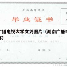 湖南广播电视大学文凭图片（湖南广播电视大学全称）