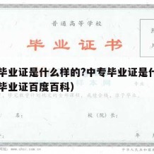 中专毕业证是什么样的?中专毕业证是什么（中专毕业证百度百科）