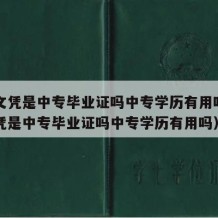 中专文凭是中专毕业证吗中专学历有用吗（中专文凭是中专毕业证吗中专学历有用吗）