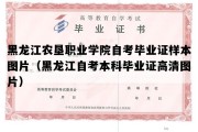 黑龙江农垦职业学院自考毕业证样本图片（黑龙江自考本科毕业证高清图片）