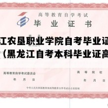 黑龙江农垦职业学院自考毕业证样本图片（黑龙江自考本科毕业证高清图片）