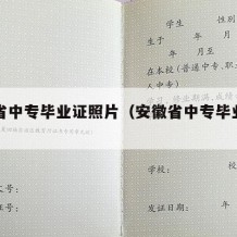 安徽省中专毕业证照片（安徽省中专毕业证样本）