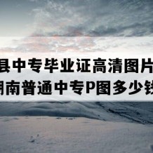 临澧县中专毕业证高清图片(2004年湖南普通中专P图多少钱）