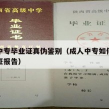 成人中专毕业证真伪鉴别（成人中专如何查学历认证报告）