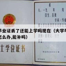 大学毕业证丢了还能上学吗现在（大学毕业证丢了怎么办,能补吗）