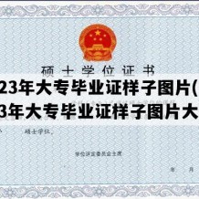 2023年大专毕业证样子图片(2023年大专毕业证样子图片大全)