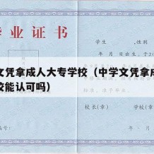 中学文凭拿成人大专学校（中学文凭拿成人大专学校能认可吗）