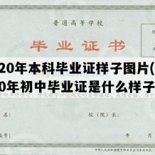 2020年本科毕业证样子图片(2020年初中毕业证是什么样子的)