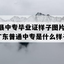 紫金县中专毕业证样子图片(2006年广东普通中专是什么样子的）