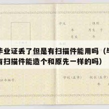 大学毕业证丢了但是有扫描件能用吗（毕业证丢了有扫描件能造个和原先一样的吗）