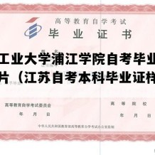 南京工业大学浦江学院自考毕业证样子图片（江苏自考本科毕业证样子图片）