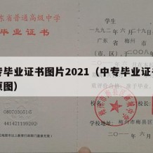 中专毕业证书图片2021（中专毕业证书图片原图）