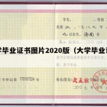 大学毕业证书图片2020版（大学毕业证原图）