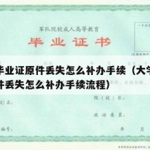 大学毕业证原件丢失怎么补办手续（大学毕业证原件丢失怎么补办手续流程）