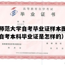 广西师范大学自考毕业证样本图片（广西自考本科毕业证是怎样的）