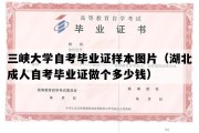 三峡大学自考毕业证样本图片（湖北成人自考毕业证做个多少钱）