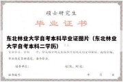 东北林业大学自考本科毕业证图片（东北林业大学自考本科二学历）