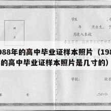 1988年的高中毕业证样本照片（1988年的高中毕业证样本照片是几寸的）