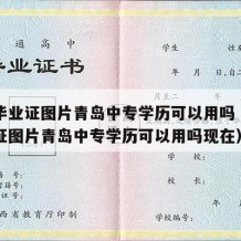 中专毕业证图片青岛中专学历可以用吗（中专毕业证图片青岛中专学历可以用吗现在）