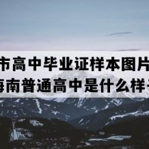 琼海市高中毕业证样本图片(1990年海南普通高中是什么样子的）