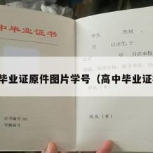 高中毕业证原件图片学号（高中毕业证样品）