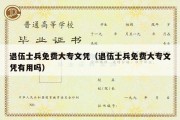 退伍士兵免费大专文凭（退伍士兵免费大专文凭有用吗）