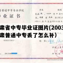 甘肃省中专毕业证图片(2003年甘肃普通中专丢了怎么补）