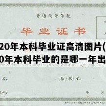 2020年本科毕业证高清图片(2020年本科毕业的是哪一年出生)