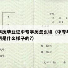 中专学历毕业证中专学历怎么填（中专毕业学历证明是什么样子的?）