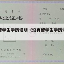 没有留学生学历证明（没有留学生学历证明怎么办）