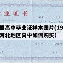 任县高中毕业证样本图片(1991年河北地区高中如何购买）