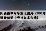 阳新县中专毕业证图片(2001年湖北普通中专补办多少钱）