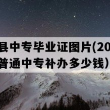 阳新县中专毕业证图片(2001年湖北普通中专补办多少钱）