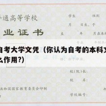 本科自考大学文凭（你认为自考的本科文凭都有什么作用?）