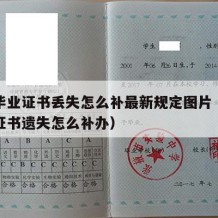 大学毕业证书丢失怎么补最新规定图片（大学毕业证书遗失怎么补办）