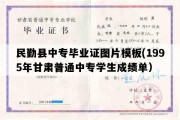 民勤县中专毕业证图片模板(1995年甘肃普通中专学生成绩单）