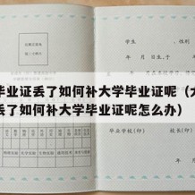 大学毕业证丢了如何补大学毕业证呢（大学毕业证丢了如何补大学毕业证呢怎么办）