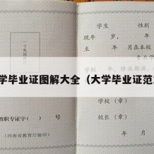 大学毕业证图解大全（大学毕业证范本）