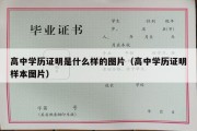 高中学历证明是什么样的图片（高中学历证明样本图片）