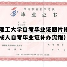 山东理工大学自考毕业证图片模板（山东成人自考毕业证补办流程）